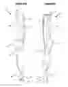 Fig. 05 - Video laryngoscopes