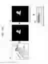 Fig. 17 - Biological information detection apparatus that includes a light source projecting a near-infrared pattern onto an object and an imaging system including first photodetector cells detecting near-infrared wavelength light and second photodetector cells detecting visible wavelength light