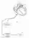 Fig. 01 - Representation and identification of activity patterns during electro-physiology mapping using vector fields