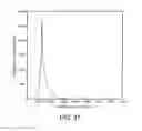 Fig. 32 - Streakline visualization apparatus and method