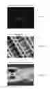 Fig. 07 - Sparse tracking in acoustic radiation force impulse imaging