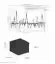 Fig. 08 - Sparse tracking in acoustic radiation force impulse imaging