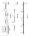 Fig. 29 - Devices and methods for collecting and stabilizing biological samples