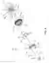 Fig. 09 - APPARATUS TO ALLOW BIOPSY SAMPLE VISUALIZATION DURING TISSUE REMOVAL