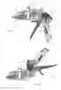 Fig. 05 - Applicator instruments having drive systems with flexible members for dispensing surgical fasteners