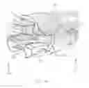 Fig. 44 - Applicator instruments having insertable, changeable cartridges for dispensing surgical fasteners