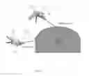 Fig. 04 - Applicator instruments having articulating shafts for dispensing surgical fasteners
