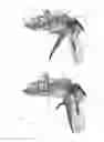 Fig. 16 - Applicator instruments having articulating shafts for dispensing surgical fasteners