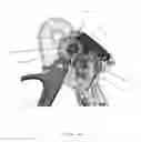 Fig. 47 - Applicator instruments having articulating shafts for dispensing surgical fasteners
