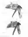 Fig. 10 - Applicator instruments having surgical fastener insertion tools for dispensing surgical fasteners