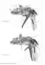 Fig. 16 - Applicator instruments having surgical fastener insertion tools for dispensing surgical fasteners