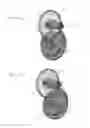 Fig. 48 - Applicator instruments having surgical fastener insertion tools for dispensing surgical fasteners