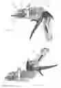 Fig. 05 - Methods of using applicator instruments having insertable, changeable cartridges for dispensing surgical fasteners
