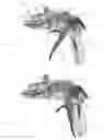 Fig. 16 - Methods of using applicator instruments having insertable, changeable cartridges for dispensing surgical fasteners