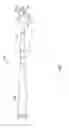 Fig. 12 - Medical device