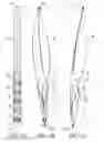 Fig. 03 - Clot retrieval system