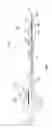 Fig. 08 - Shock wave balloon catheter with insertable electrodes