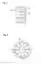 Fig. 06 - Device for bracing vertebrae of the human spinal column