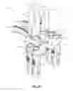 Fig. 34 - Spondylisthesis reduction system