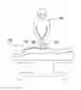 Fig. 01 - Spine-anchored targeting systems and methods for posterior spinal surgery