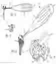 Fig. 06 - Variable angle blade plate system and method