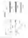 Fig. 09 - Orthopedic dual pocket compression plate and method of surgery