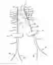 Fig. 01 - APPARATUS FOR ABLATION OF BODY TISSUE AND METHOD OF USE THEREOF