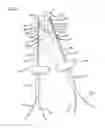 Fig. 02 - APPARATUS FOR ABLATION OF BODY TISSUE AND METHOD OF USE THEREOF