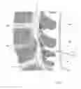 Fig. 02 - Spinal Navigation Method, Spinal Navigation System and Computer Program Product