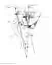 Fig. 01 - Method for Registering Articulated Anatomical Structures