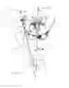Fig. 02 - Method for Registering Articulated Anatomical Structures