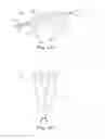 Fig. 02 - Multifunctional operational component for robotic devices