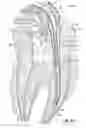 Fig. 08 - APPARATUSES FOR EVACUATION OF A ROOT CANAL AND METHODS OF USING SAME