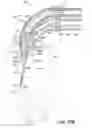 Fig. 52 - APPARATUSES FOR EVACUATION OF A ROOT CANAL AND METHODS OF USING SAME