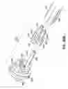 Fig. 56 - APPARATUSES FOR EVACUATION OF A ROOT CANAL AND METHODS OF USING SAME