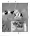 Fig. 03 - Unified three dimensional virtual craniofacial and dentition model and uses thereof