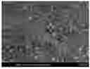 Fig. 01 - PROCESS FOR THE PREPARATION OF A TOPOGRAPHY FOR IMPROVED PROTEIN ADHERENCE ON A BODY MADE OF TITANIUM OR A TITANIUM ALLOY