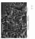 Fig. 02 - PROCESS FOR THE PREPARATION OF A TOPOGRAPHY FOR IMPROVED PROTEIN ADHERENCE ON A BODY MADE OF TITANIUM OR A TITANIUM ALLOY