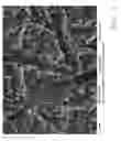 Fig. 03 - PROCESS FOR THE PREPARATION OF A TOPOGRAPHY FOR IMPROVED PROTEIN ADHERENCE ON A BODY MADE OF TITANIUM OR A TITANIUM ALLOY