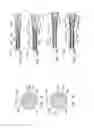 Fig. 12 - Endoluminal prosthesis having multiple branches or fenestrations and methods of deployment