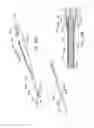 Fig. 13 - Endoluminal prosthesis having multiple branches or fenestrations and methods of deployment