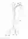 Fig. 16 - Endoluminal prosthesis having multiple branches or fenestrations and methods of deployment