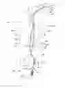Fig. 19 - Endoluminal prosthesis having multiple branches or fenestrations and methods of deployment