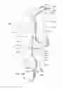 Fig. 24 - Endoluminal prosthesis having multiple branches or fenestrations and methods of deployment