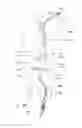 Fig. 26 - Endoluminal prosthesis having multiple branches or fenestrations and methods of deployment