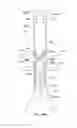 Fig. 28 - Endoluminal prosthesis having multiple branches or fenestrations and methods of deployment