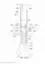 Fig. 37 - Endoluminal prosthesis having multiple branches or fenestrations and methods of deployment