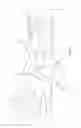 Fig. 02 - ORTHOPEDIC SUPPORT APPARATUS AND METHOD OF USE