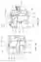 Fig. 02 - Gates for overhead lifting rails