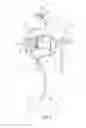Fig. 06 - Support platform for body treatment